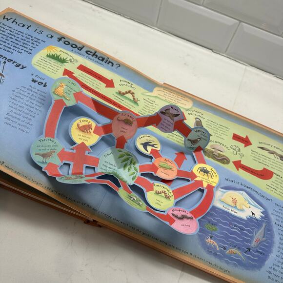 How the World Works: A Hands-On Guide to Our Amazing Planet (Explore the Earth) - Picture 12 of 13